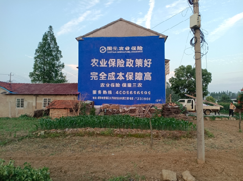 易门墙体广告为何受追捧？